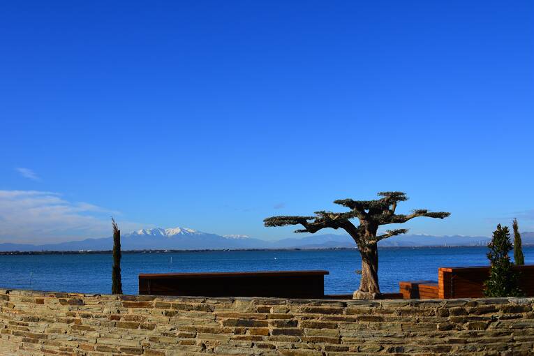 Camping Oasis California **** photo 6 Languedoc Roussillon Tohapi